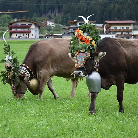 Ferienhaus Oberhuben ฟือเกนแบร์ก ภายนอก รูปภาพ